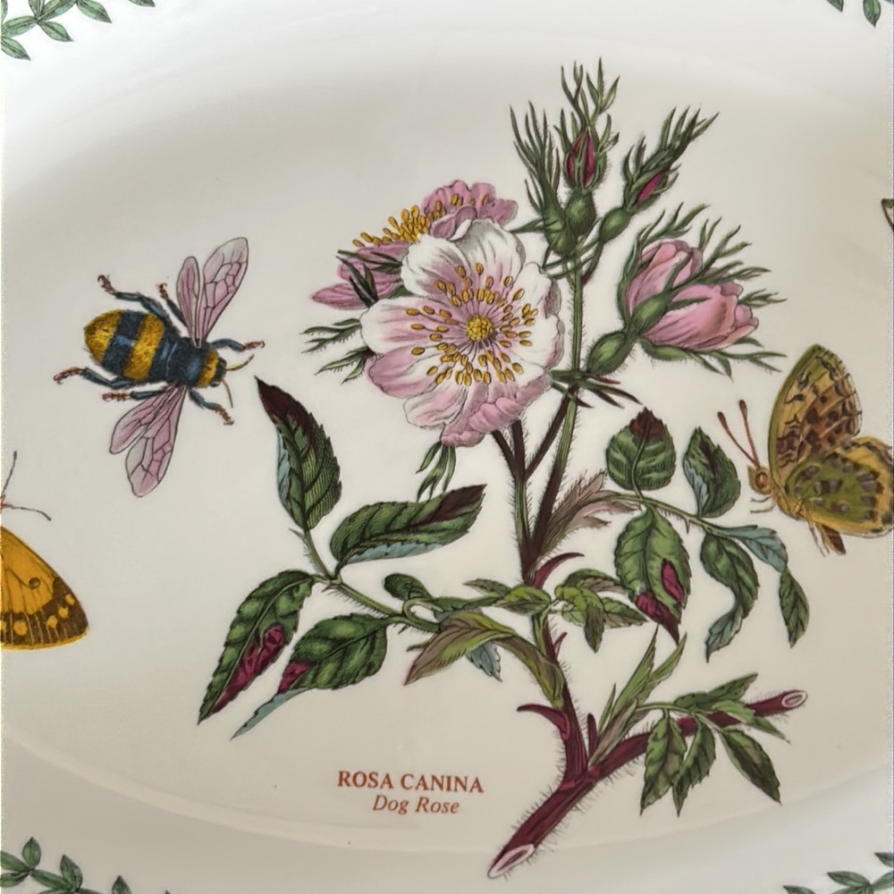 Portmeirion 11” oval Botanical Garden serving platter. - Picture 4 of 4